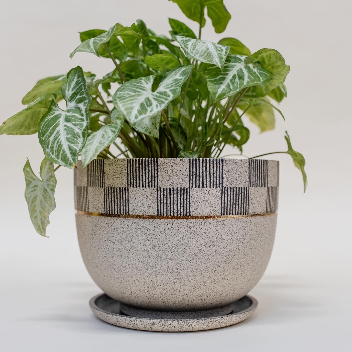 8” Stoneware planter